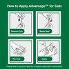 Advantage Topical Cat Flea Treatment and Prevention for Large Cats