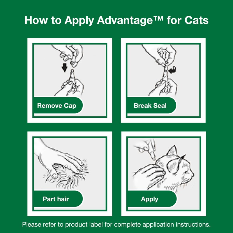 Advantage Topical Cat Flea Treatment and Prevention for Large Cats