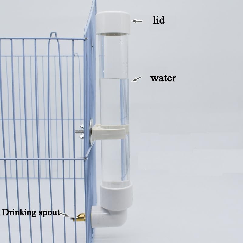 Bird Water Drinker Automatic Parrot Conure Cockatiel Water Dispenser Bird
