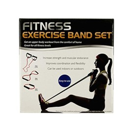 bulk buys OL397-1 Fitness Exercise Band Set with Storage Bag