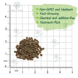 Premium Roselle Seeds (Hibiscus Sabdariffa) – 100+ High-Yielding, Non-GMO Heirloom Seeds for Planting - Hibiscus Flowers