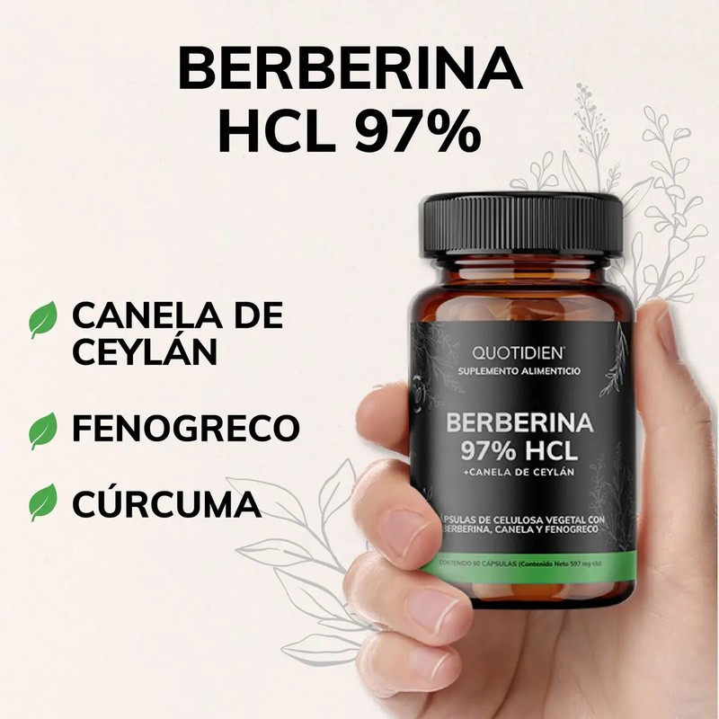 Berberina HCL y Canela de Ceylán Quotidien con Cúrcuma, 60