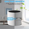 2 Pack Blue Pure 411i Max Replacement Filter Compatible with