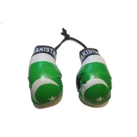 Pakistan Country Flag Mini Boxing Gloves to Hang Over Your Automobile Mirror New