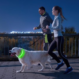 PcEoTllar Light Up Dog Collars, Rechargeable Led Dog Collar with Automatic 7-Color Changes, Water Resistant Lighted Dog Collar for Night Walking with High Visibility, Bright Glow Dog Collar(Green, M)