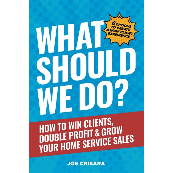 What Should We Do?: How to Win Clients, Double Profit