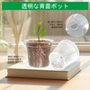RooTrimmer 2.7 inches (6.8 cm) Transparent Seeding Pot, Plastic Pot,