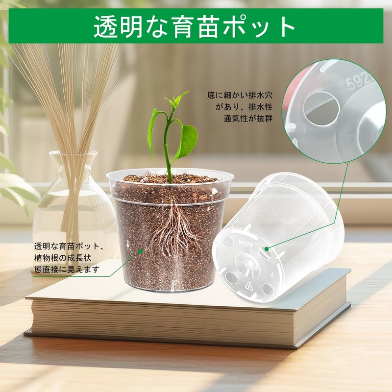 RooTrimmer 2.7 inches (6.8 cm) Transparent Seeding Pot, Plastic Pot,