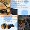 EarthPETS Classic Pet Harness No Pull with 2 Leash Clips,