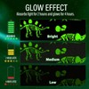 Glow in The Dark Dinosaur Blanket for Kids, Soft &