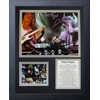 Legends Never Die Pink Floyd Framed Photo Collage, 11x14-Inch, (16188U)