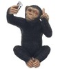 Lesser & Pavey Cheeky Monkey Ornament - Selfie LP75442
