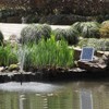 10W Solar Water Pump KIT: DC Brushless Submersible Water Pump