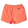 Quiksilver Men's Everyday 38.1-cm Board Shorts