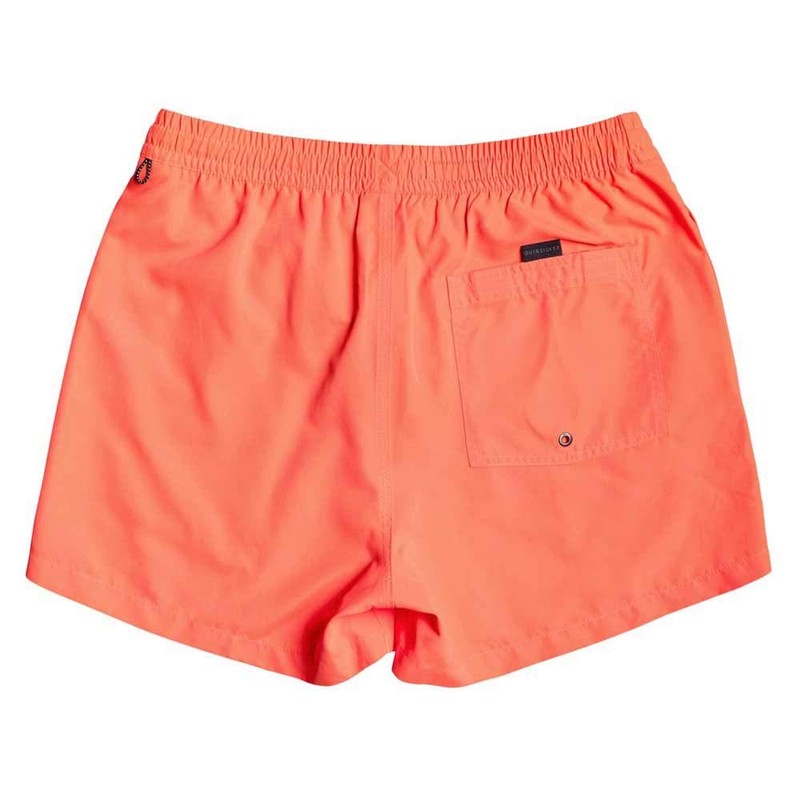 Quiksilver Men's Everyday 38.1-cm Board Shorts