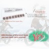 28" x 1-3/8" 1-5/8" Bicycle Inner Tube, 700c x 35-43mm,