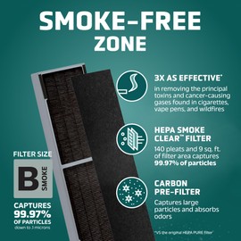 GermGuardian Pet Pure HEPA Genuine Air Purifier Filter B, Removes 99.97% of Pollutants for AC4825, AC4820, AC4850, AC4870, CDAP4500, AC4900, AC4300, AP2200, 2- Pack, Black/Purple, FLT4850PT2PK