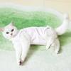 PetGround Cat Postoperative Clothes Female Male Easy to Put On