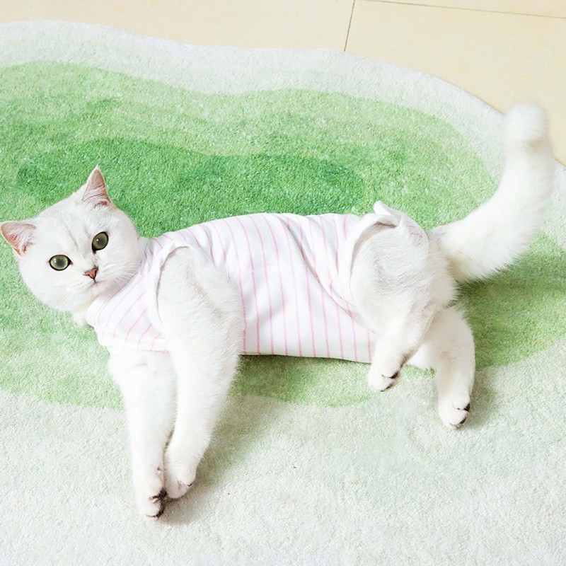 PetGround Cat Postoperative Clothes Female Male Easy to Put On