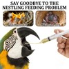 2 Syringe Young Birds Feeding Syringe, Hand Feeding Tool, with