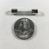 Compstudio 20Pcs 0.3A Fast Blow Fuse 250V Glass Fuse (1/4"
