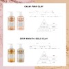 BX Clay Et Forty Fying Hair Mask, Gold Clay, 14.1