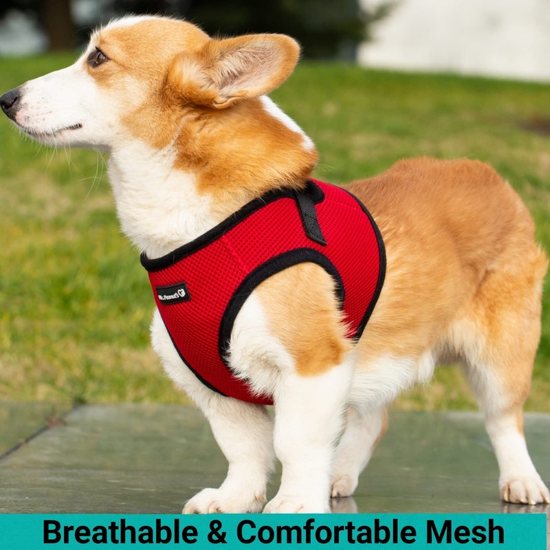 Mr. Peanut's PupTrek Small Dog/Cat Soft Mesh Step in Harness