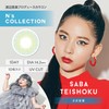 エヌズ コレクション ワンデー N'sCOLLECTION 1day 【1箱10枚入】 14.2mm カラコン UVカット （さば定食