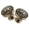 Operitacx 2pcs Lion Head Pulls Antique Cabinet Handles Unique Decorative