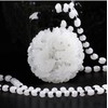 yigedan Natural White Jade Dragon Phoenix Dragon Pendant Necklace, jade,