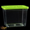 48 Pack Small Plastic Reptile Carrier Tarantula Enclosure Breeding Box