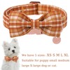 UP URARA PUP Fall Plaid Dog Collar and Bow Tie