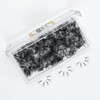 GorgeousLash 1000 Premade Lash Fans. 10D, 8D, 7D, 6D, 5D,