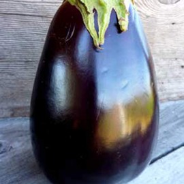 Odyssey F1 Hybrid Eggplant - 1 OZ Bulk ~6,200 Seeds - Non-GMO, Hybrid F1 - Farm & Garden Vegetable Seeds - Egg Plant/Aubergine