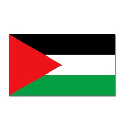 Oracal Palestine Flag vinyl decal sticker - 8"W