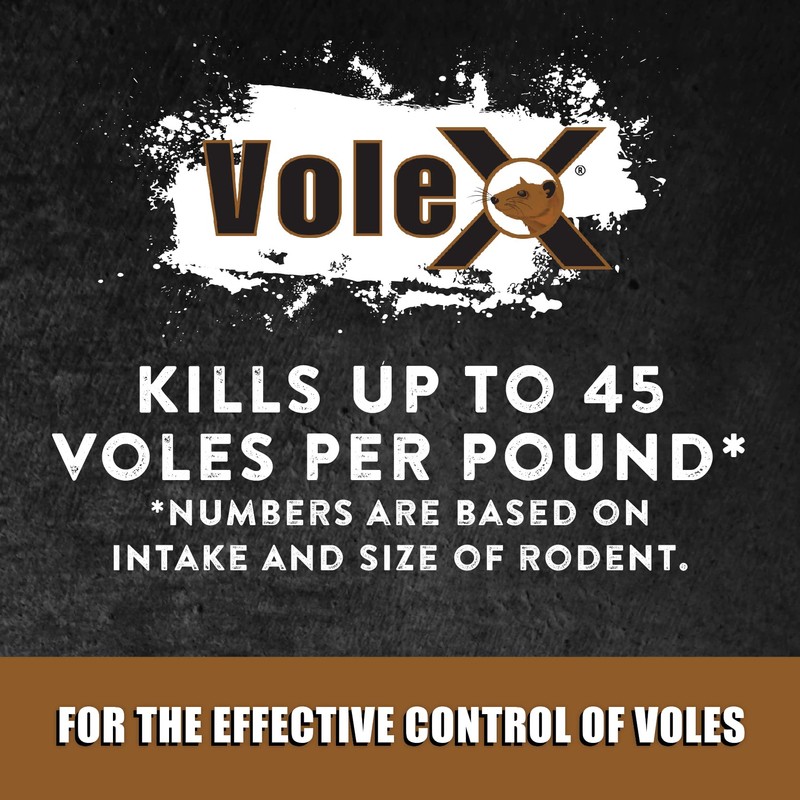VoleX - Effective Against All Species of Voles. Safe for