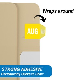 Doctor Stuff - File Folder Month Labels, August, Compatible with Smead SMMK Series Stickers, Yellow, 1/2" x 1", 250/Pack