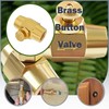 NICOLEKAY Brass 1/4" NPT Female Thread Push Button Check Valve