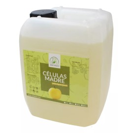 Productos Mart Mexico Jabón Facial De Células Madre Elimina Impurezas 5 Litros