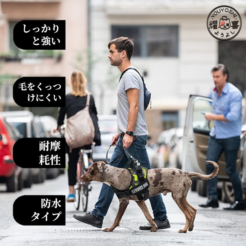 Youyoshi No Pull Dog Harness with Handle, No Choke Pet