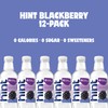 Hint Flavored Water, Blackberry, 16 Fl Oz Single Bottle