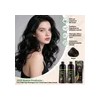 Shampoo Tinte Instantaneo 15min Cubre Canas Jengibre Natural