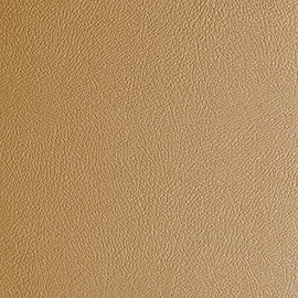 G-Floor® for Pets Levant Protective Floor Covering… (5' X 10', Sandstone)