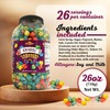 Stonehedge Farms Flavored Rainbow Caramel Popcorn | 26 oz Tub