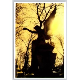 The Guardian Angel Sunset Silhouette Through Trees Cemetery Statue 6x4 Postcard