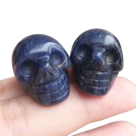 Bacatgem 2 Pcs Natural Sodalite Mini Crystal Human Skull Figurines,1 Inch Handcarved Crystals and Healing Stone Room Decor Gemstone