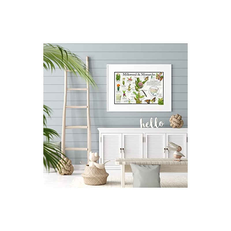 Where's Wildlife Monarch Butterfly & Milkweed Poster - Educational Nature