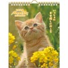 Active Corporation 2026 Wall Calendar CAT Monthly 26ACL-06, Starts January