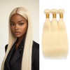 613 Straight Honey Blonde Human Hair Bundles 22 24 26