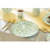 Grace Teaware Greeny Garden 10.5" Fine Porcelain Dinner Plates Set